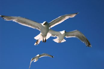 Viaggio039