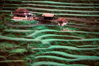 Nepal213