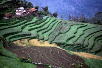 Nepal216